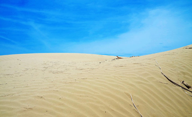 Objek Wisata Padang Pasir di Iklim Tropis